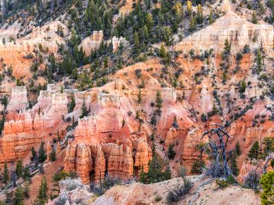 Fairyland Loop Dusk Fairyland Loop Dusk