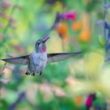 River Gallery:  Paintings, Sculptures, Jewelry and Glass