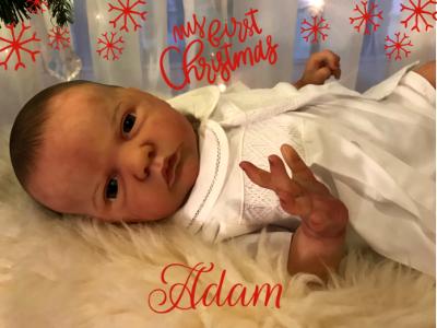 ADAM ~ SOLD