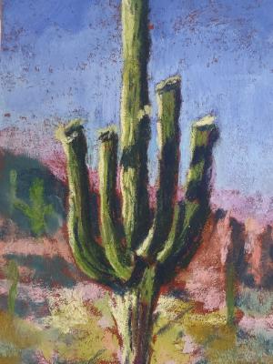 Saguaro