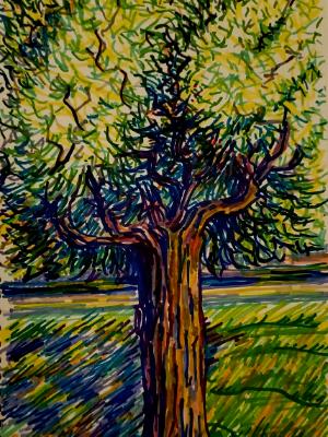 Shade Tree Shade Tree