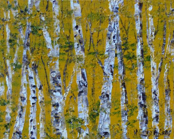 birch 8