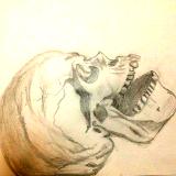 Skull Sketch