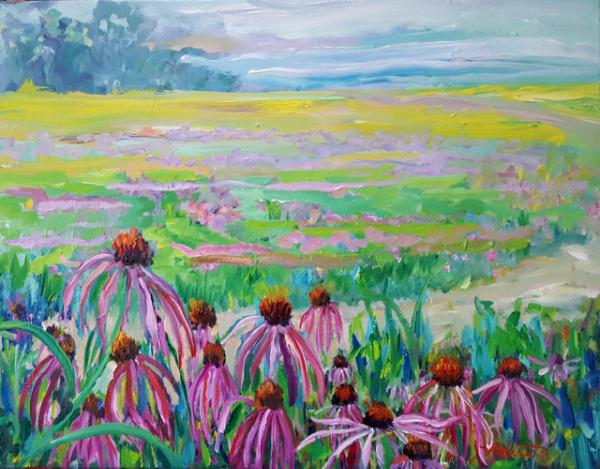 March of the Pale Purple Coneflowers