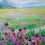 March of the Pale Purple Coneflowers