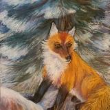Red Fox near a Fir Tree 