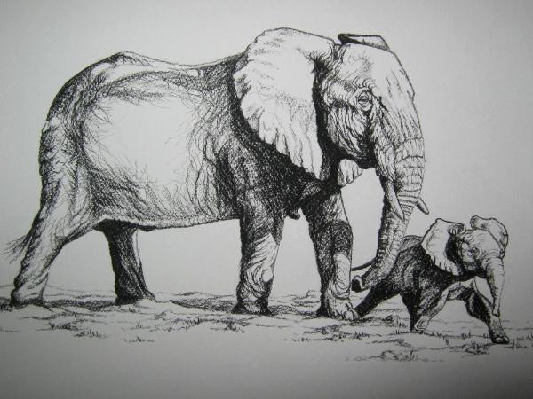 Elephant mother and calf