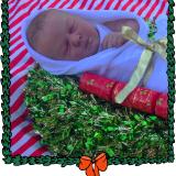 SHOW ENTRY: 4 ~ KIMBERLY (M.P)