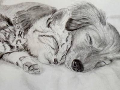 Furry Sleepy Heads Furry Sleepy Heads
