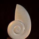 Wood carver Steven Goldstein Wood carver Steven Goldstein