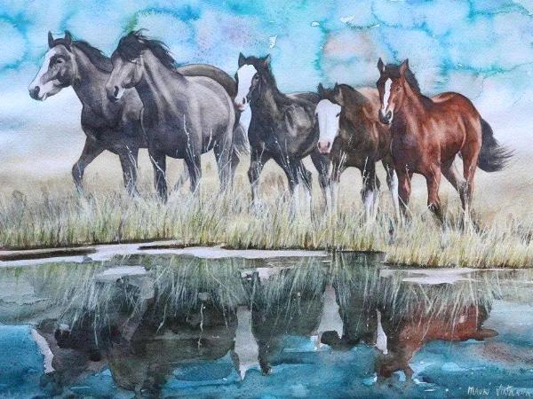 Wild horses of Wyoming, 35cm x 50cm, 2014