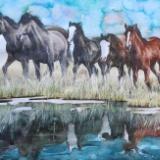 Wild horses of Wyoming, 35cm x 50cm, 2014