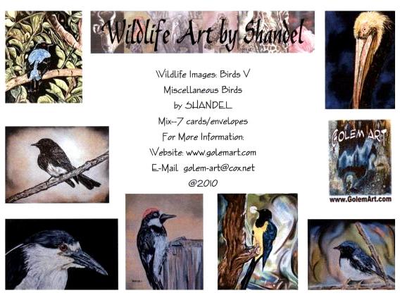Note Cards: Birds V--Miscellaneous Birds