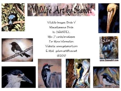 Note Cards: Birds V--Miscellaneous Birds