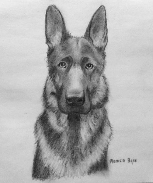 Shepherd 8x10 toned paper in graphites 