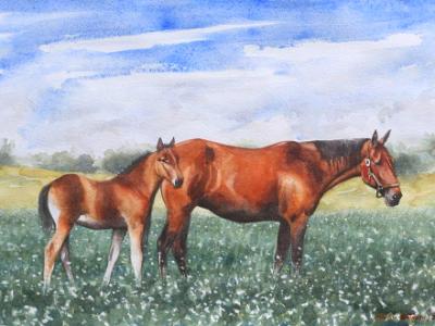 Equine maternity, 80cm x 60cm, 2014 Equine maternity, 80cm x 60cm, 2014