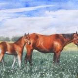 Equine maternity, 80cm x 60cm, 2014