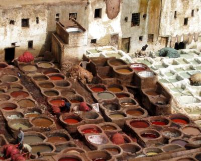 Fez Tannery