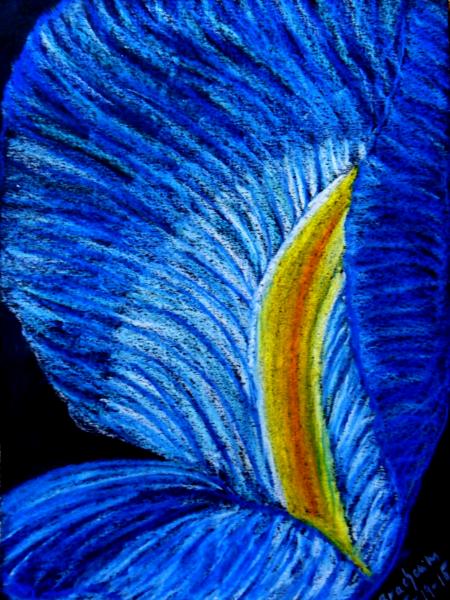 Pedal of Blue Iris
