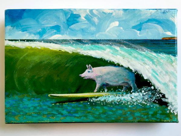 SURFING PIG 	