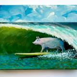 SURFING PIG 	