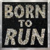 Born To Run (2023) SOLD