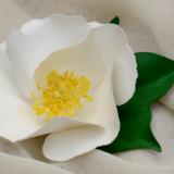 White Cotton Blossom Pin