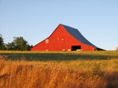 SUMMER BARN