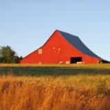 SUMMER BARN