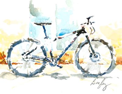 Superfly Mountain Bike Superfly Mountain Bike