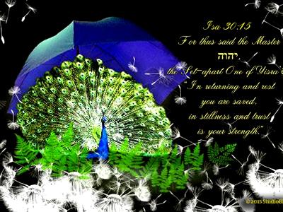 Isa 13:15_Rest Isa 13:15_Rest