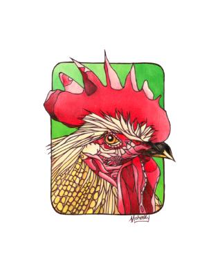 Rooster Rooster