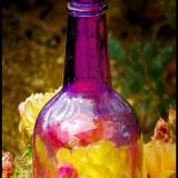 ANTIQUE BOTTLES & GLASS