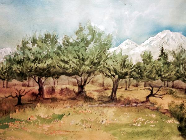 Junipers and Three Sisters