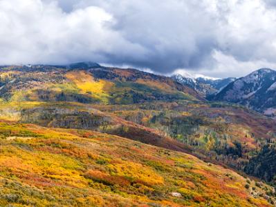 La Sal Mountain Magic Carpet of Color (Click for full width)