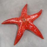 #01102620 Starfish orange with wall hanger 8'' $90.00