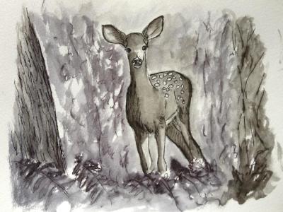 Deer