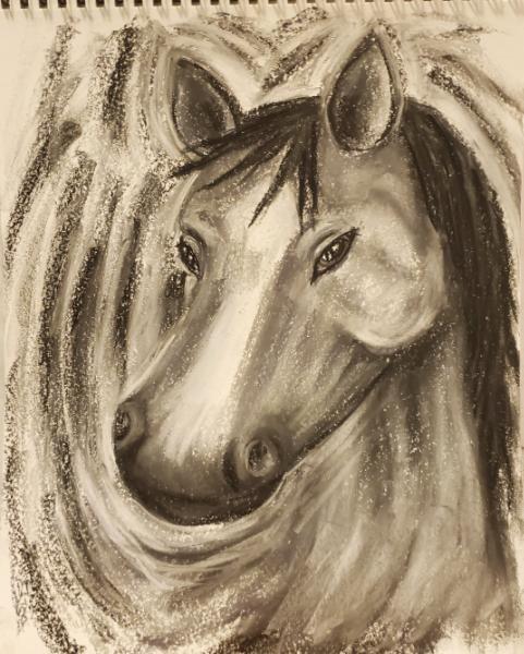 Horse Portrait in Grayscale 