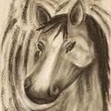 Horse Portrait in Grayscale 
