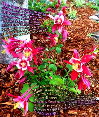 Blessing_Day 3_Morning Blessing_Day 3_Morning