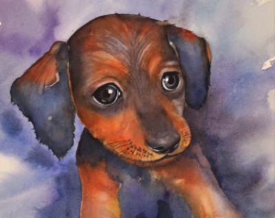 Sparky (watercolor)