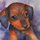 Sparky (watercolor)