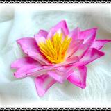 Water Lilly Pink