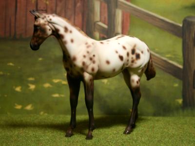 New! Custom P.S Weanling ~ SOLD