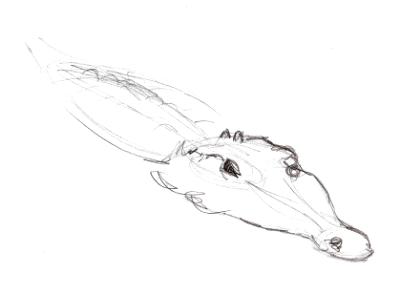 Gator Gator