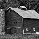 Rural Farms of MN