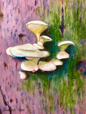 White fungus on tree