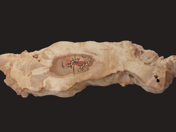 Salamander Table