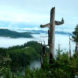 Peace in the Valley