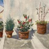Pots in Frigiliana